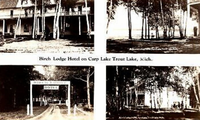 Birch Lodge - Old Postcard